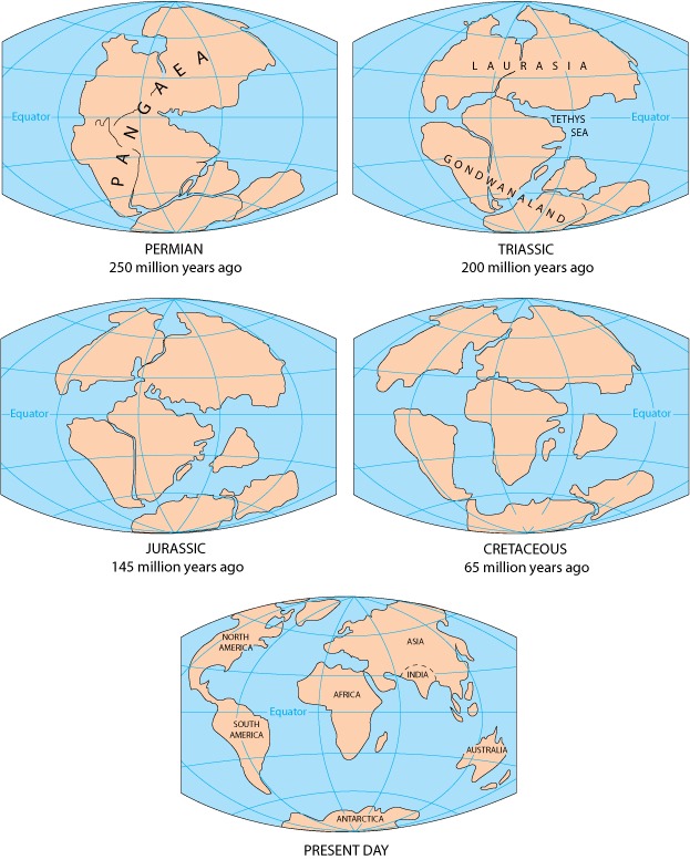 Continent drift evolution