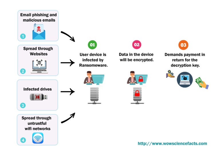 How ransomware attack happen and how to prevent from ransomeware attacks