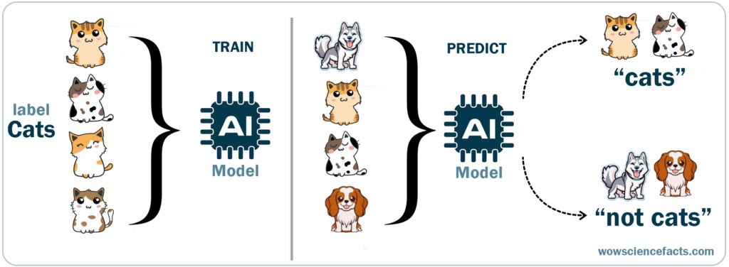 How Supervised learning happens and what are training and testing data