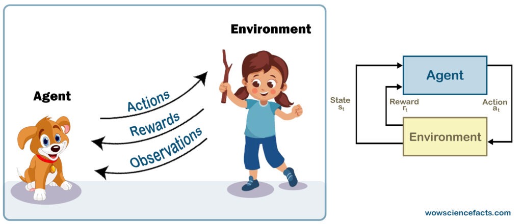 Reinforcement learning algorithm