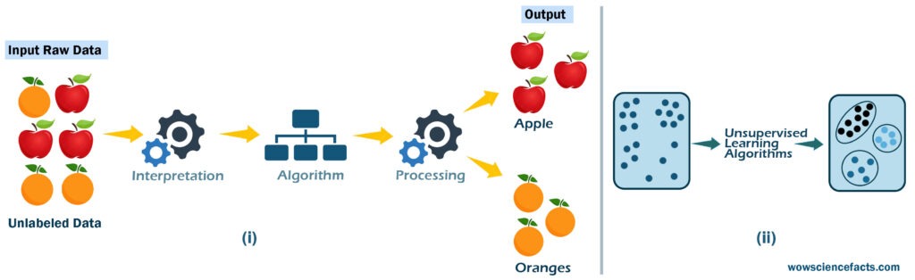 Unsupervised learning uses unlabeled data