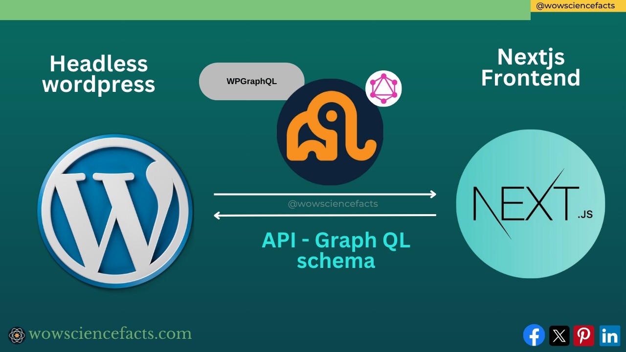 Tutorial example Headless WordPress implementation using WPGraphQL. A visual representation of GraphQL queries and responses, symbolizing the interaction between a headless WordPress backend and a frontend application.